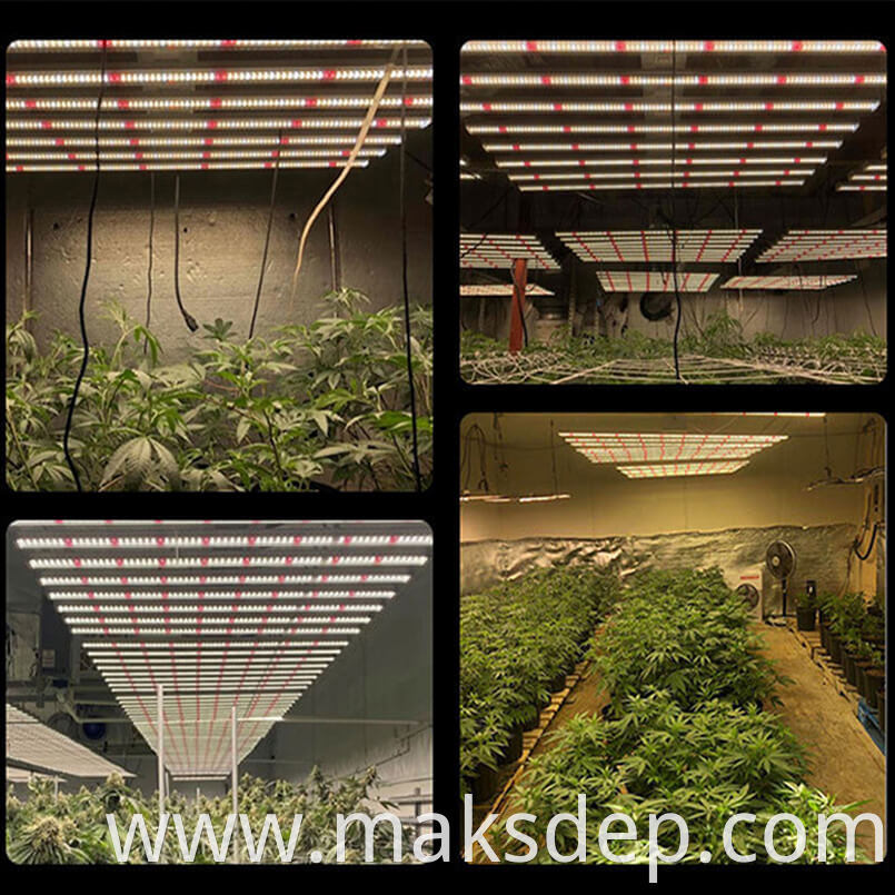 Grow Lights 100w